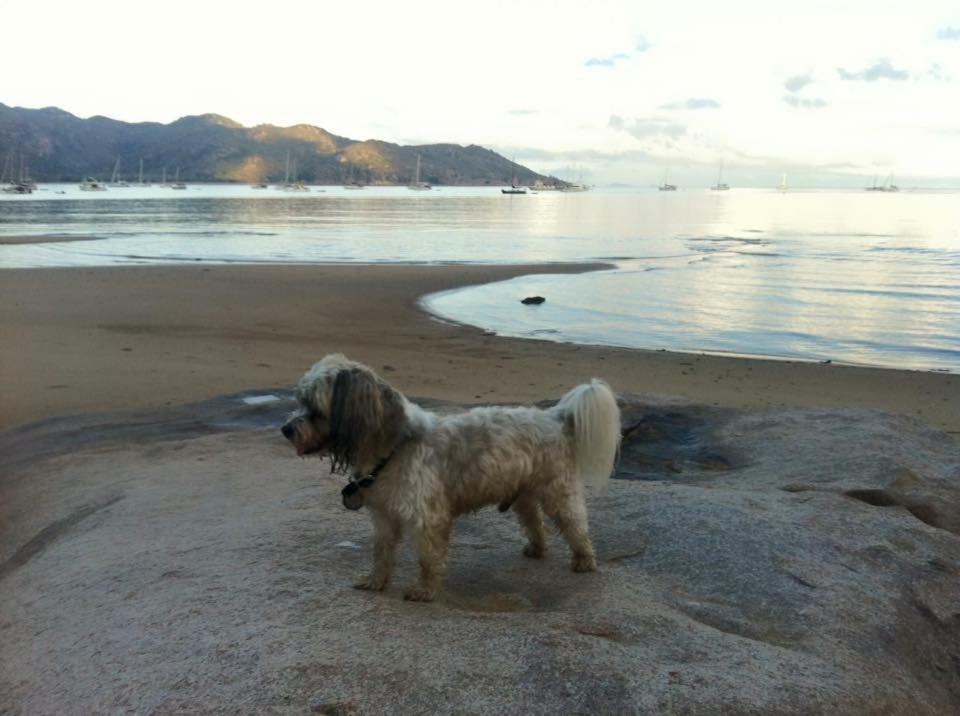 Executive Properties In North Ward Townsville And On Magnetic Island 外观 照片